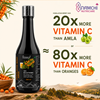 Picture of Himalayan Berry Sea Buckthorn Juice 500 ml
